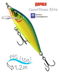 CDE75 GDPRT CountDown Elite - фото