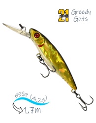 Greedy-Guts 55SP-MDR 402 - фото