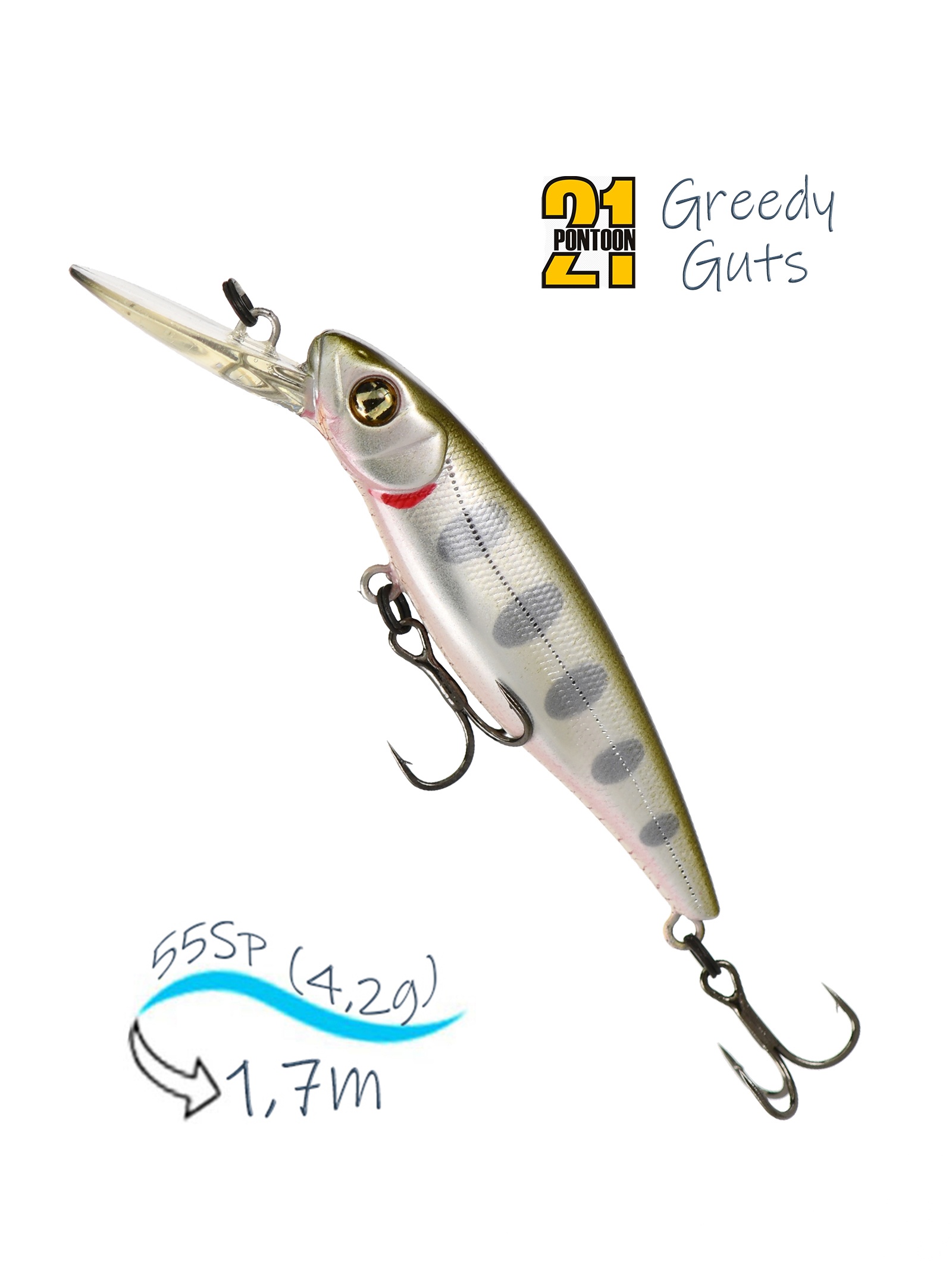 Greedy-Guts 55SP-MDR 404