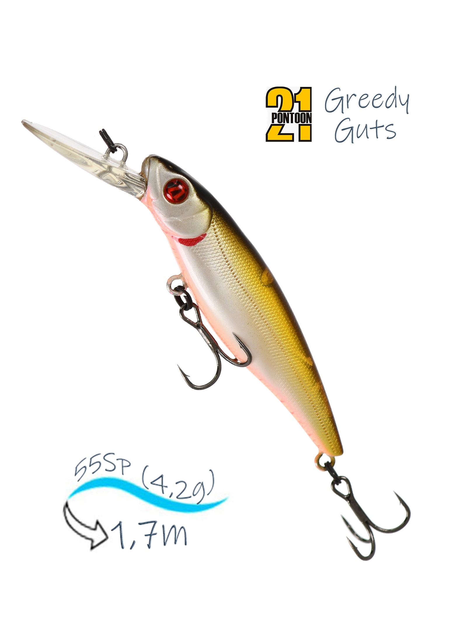 Greedy-Guts 55SP-MDR 417