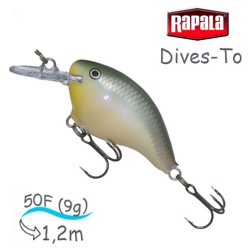 DT04 BBH Dives-To - фото