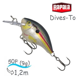 DT04 SD Dives-To - фото