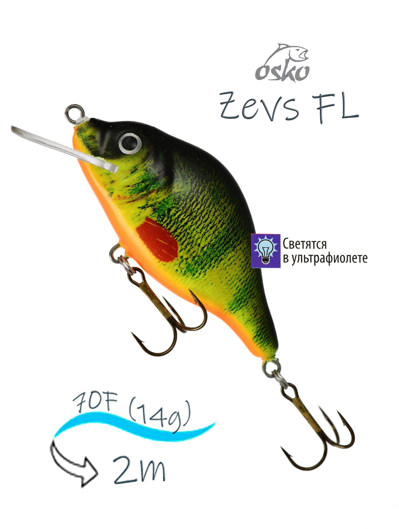 OFZ07-51 Zevs FL