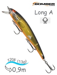 B15 AXCHO Long A - фото