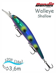 BDTWBS1 B12 Walleye Shallow - фото