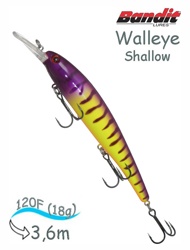 BDTWBS1 B18 Walleye Shallow - фото