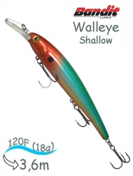 BDTWBS1 B15 Walleye Shallow - фото