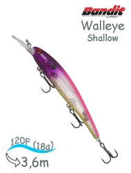 BDTWBS1 B17 Walleye Shallow - фото