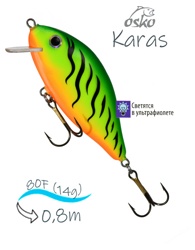 OFK08-21 Karas - фото