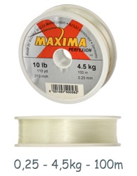 Maxima 0,25*100m Perfexion - фото