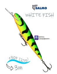 QWF002 WHITE FISH 13DR-Green Tiger - фото