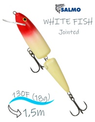 QWF016 WHITE FISH 13JF-Red Head - фото