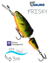 QFY005 FRISKY FY-070DR-RHP- фото