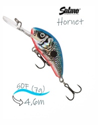 QHT100 Hornet HT-050FL-SBS - фото