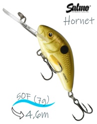 QHT1020 Hornet HT-050FL PLS - фото