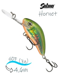 QHT1022 Hornet HT-050FL-HOI - фото