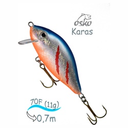 OFK07-47New Karas - фото