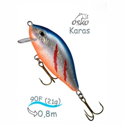 OFK09-47New Karas - фото