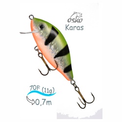 OFK07-49 Karas - фото