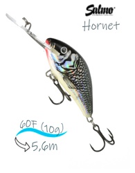 QHT063 Hornet HT-060FL-HGS - фото