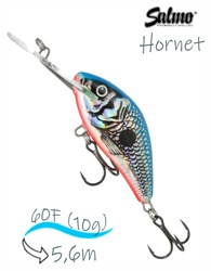 QHT116 Hornet HT-060FL-SBS - фото