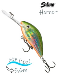 QHT1023 Hornet HT-060FL HOI - фото