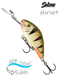 QHT1024 Hornet HT-060FL NPE - фото