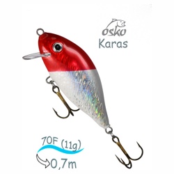 OFK07-45 Karas - фото