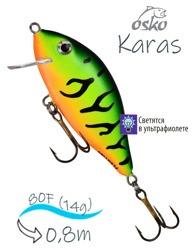 OFK08-83 Karas - фото