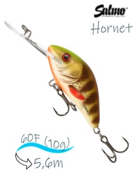 QHT1025 Hornet HT-060FL SBP - фото