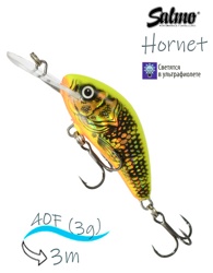 QHT028 Hornet HT-040-FL-GFP - фото