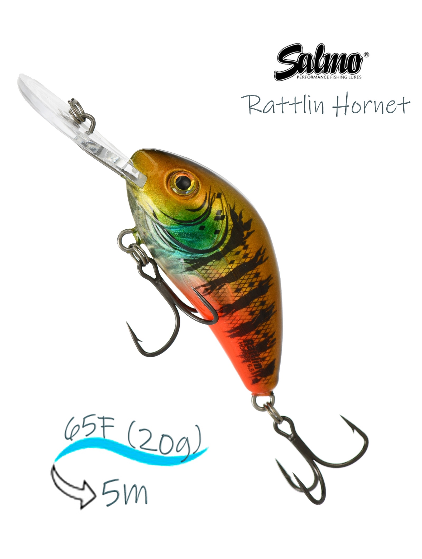 QRH543 Rattlin Hornet RH-065FL-CBG