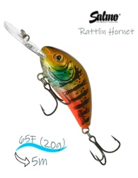 QRH543 Rattlin Hornet RH-065FL-CBG - фото