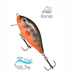 OFK07-09 Karas - фото