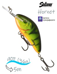 QHT073 Hornet HT-090FL-HPH - фото