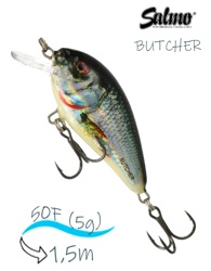 QBU017 BUTCHER 05F-HRD - фото