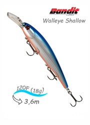 BDTWBS1 D95 Walleye Shallow - фото