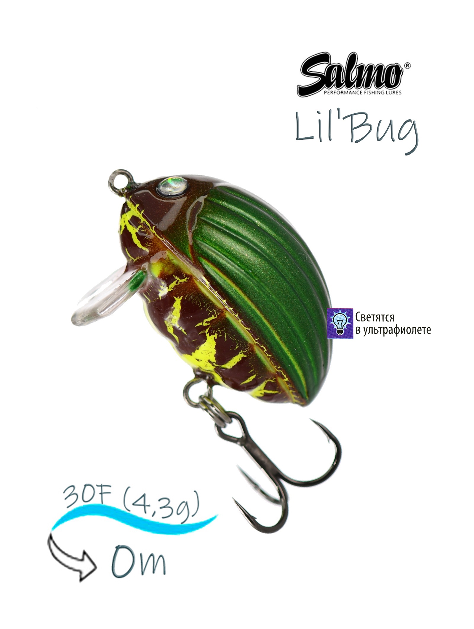 QBG001 Lil'Bug 03-GBG