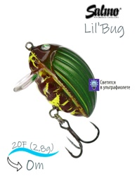 QBG007 Lil'Bug 02-GBG - фото