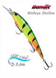 BDTWBS1 D97 Walleye Shallow - фото