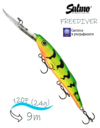 QFD003 FREEDIVER 12SDR-GT - фото