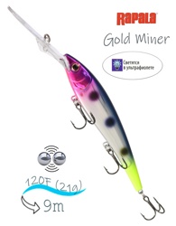 GM30 CHBHT Gold Miner - фото