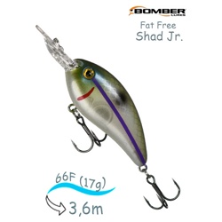 BD6 F518 Fat Free Shad Jr - фото