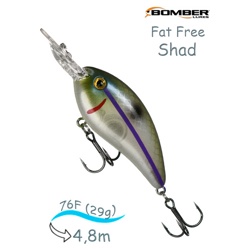 BD7 F518 Fat Free Shad - фото