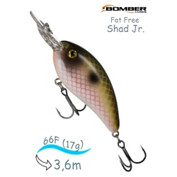 BD6 F519 Fat Free Shad Jr - фото