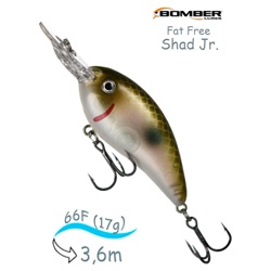 BD6 F520 Fat Free Shad Jr - фото