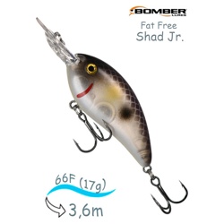 BD6 F523 Fat Free Shad Jr - фото