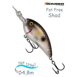 BD7 F523 Fat Free Shad - фото