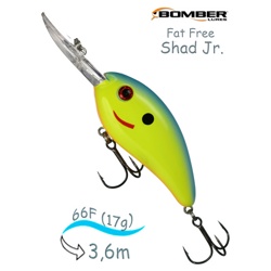 BD6 FCHBL Fat Free Shad - фото