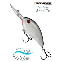 BD6 FESP Fat Free Shad Jr - фото